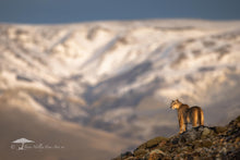 Load image into Gallery viewer, Mountain Queen - Limited Edition Fine Art Print