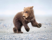 Load image into Gallery viewer, 2026 CALENDAR