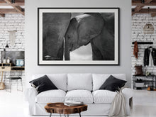 Load image into Gallery viewer, Baby Elephant - Limited Edition Fine Art Print