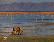 Load image into Gallery viewer, 2026 CALENDAR