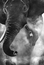 Load image into Gallery viewer, Eat My Dust - Limited Edition Fine Art Print