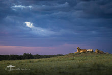 Load image into Gallery viewer, Calm Before the Storm - Limited Edition Fine Art Print