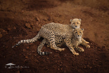 Load image into Gallery viewer, Mischief - Limited Edition Fine Art Print