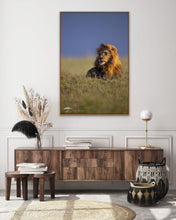Load image into Gallery viewer, Lion in the Wind - Limited Edition Fine Art Print