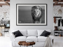 Load image into Gallery viewer, Focus - Limited Edition Fine Art Print