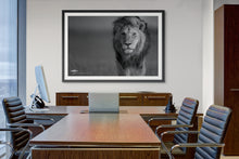 Load image into Gallery viewer, Focus - Limited Edition Fine Art Print