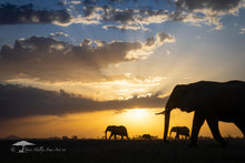 Load image into Gallery viewer, Elephants on the Horizon - Limited Edition Fine Art Print
