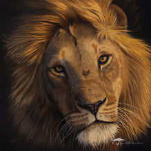 Load image into Gallery viewer, Inquisitive - Limited Edition Reproduction Prints