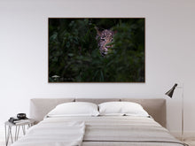 Load image into Gallery viewer, Shy One - Limited Edition Fine Art Print