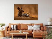 Load image into Gallery viewer, Mana Pools Magic - Limited Edition Fine Art Print