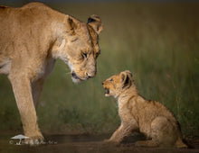 Load image into Gallery viewer, 2026 CALENDAR