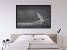 Load image into Gallery viewer, Lookout Post- Limited Edition Fine Art Print
