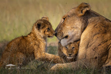 Load image into Gallery viewer, Cuddle Puddle - Limited Edition Fine Art Print
