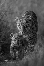 Load image into Gallery viewer, Tenderness - Limited Edition Fine Art Print