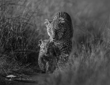 Load image into Gallery viewer, 2026 CALENDAR