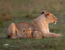 Load image into Gallery viewer, 2026 CALENDAR