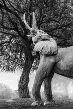Load image into Gallery viewer, Reach - Limited Edition Fine Art Print