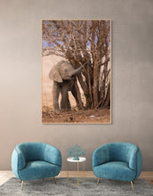 Load image into Gallery viewer, Baby Ele - Limited Edition Fine Art Print
