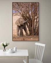 Load image into Gallery viewer, Baby Ele - Limited Edition Fine Art Print
