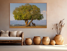 Load image into Gallery viewer, Under the Shade - Limited Edition Fine Art Print