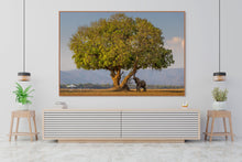 Load image into Gallery viewer, Under the Shade - Limited Edition Fine Art Print