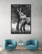 Load image into Gallery viewer, Reach - Limited Edition Fine Art Print