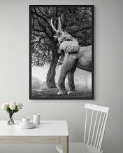 Load image into Gallery viewer, Reach - Limited Edition Fine Art Print