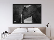 Load image into Gallery viewer, Baby Elephant - Limited Edition Fine Art Print