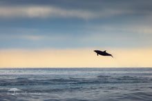 Load image into Gallery viewer, BELIEVE - Limited Edition Fine Art Print