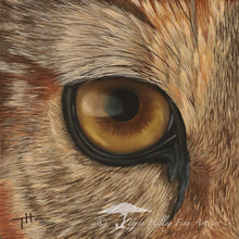 Load image into Gallery viewer, African Predator Eyes - Limited Edition Reproduction Prints