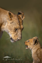 Load image into Gallery viewer, But MOOOM! - Limited Edition Fine Art Print