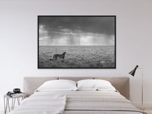 Load image into Gallery viewer, Looking to the Rains - Limited Edition Fine Art Print