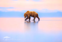 Load image into Gallery viewer, Cloud Walker - Limited Edition Fine Art Print