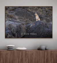 Load image into Gallery viewer, Coiron 1 - Limited Edition Fine Art Print