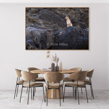 Load image into Gallery viewer, Coiron 1 - Limited Edition Fine Art Print