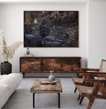 Load image into Gallery viewer, Coiron 2 - Limited Edition Fine Art Print