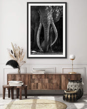 Load image into Gallery viewer, Craig - Limited Edition Fine Art Print