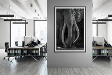 Load image into Gallery viewer, Craig - Limited Edition Fine Art Print