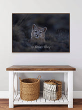 Load image into Gallery viewer, Cuteness - Limited Edition Fine Art Print
