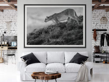 Load image into Gallery viewer, Descendance - Limited Edition Fine Art Print