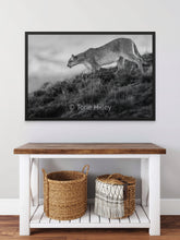 Load image into Gallery viewer, Descendance - Limited Edition Fine Art Print
