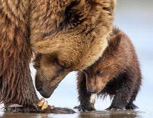 Load image into Gallery viewer, 2026 CALENDAR