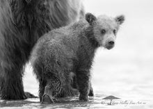 Load image into Gallery viewer, Don't Look Back - Limited Edition Fine Art Print