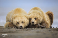 Load image into Gallery viewer, Double Trouble - Limited Edition Fine Art Print