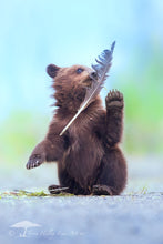 Load image into Gallery viewer, Feather Charmer - Limited Edition Fine Art Print