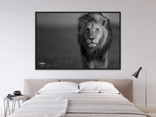 Load image into Gallery viewer, Focus - Limited Edition Fine Art Print
