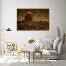 Load image into Gallery viewer, Golden King - Limited Edition Fine Art Print