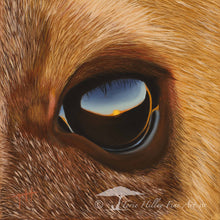 Load image into Gallery viewer, African Predator Eyes - Limited Edition Reproduction Prints