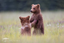 Load image into Gallery viewer, I Got You - Limited Edition Fine Art Print