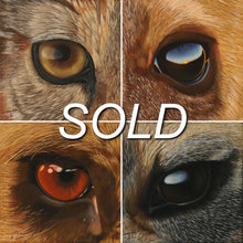 Load image into Gallery viewer, African Predator Eyes - Originals - SOLD